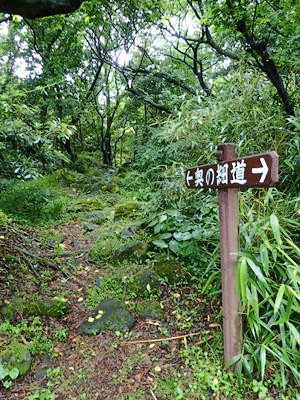 三崎公園奥の細道