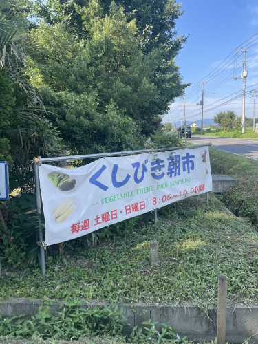 IMG_2624.jpeg
