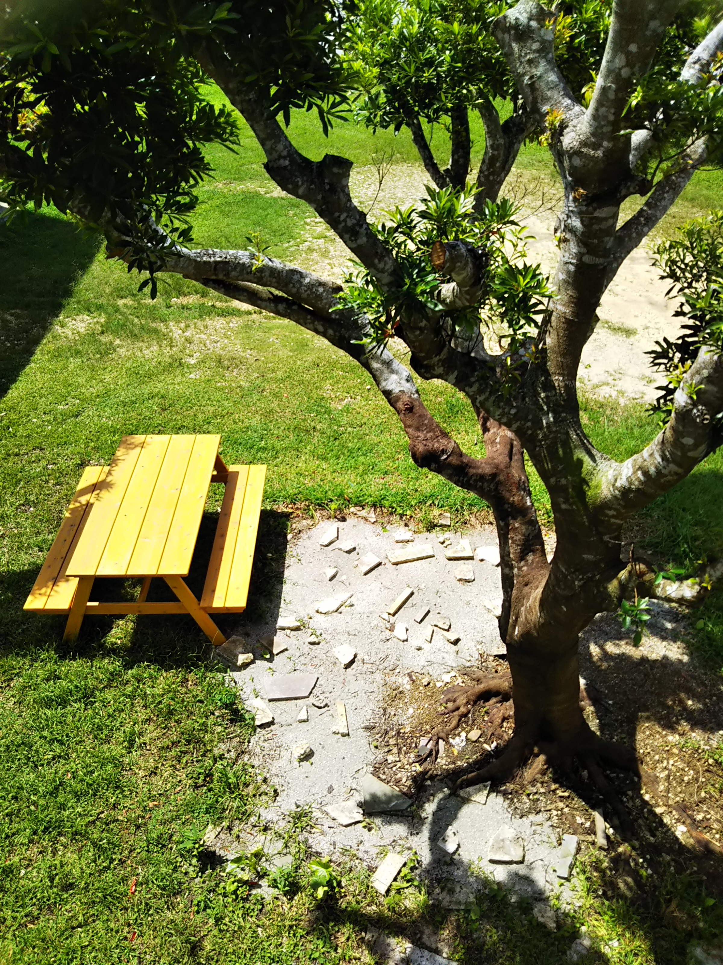 木の工房 楽樹 家具 小木工品展示販売 オーダーメイド