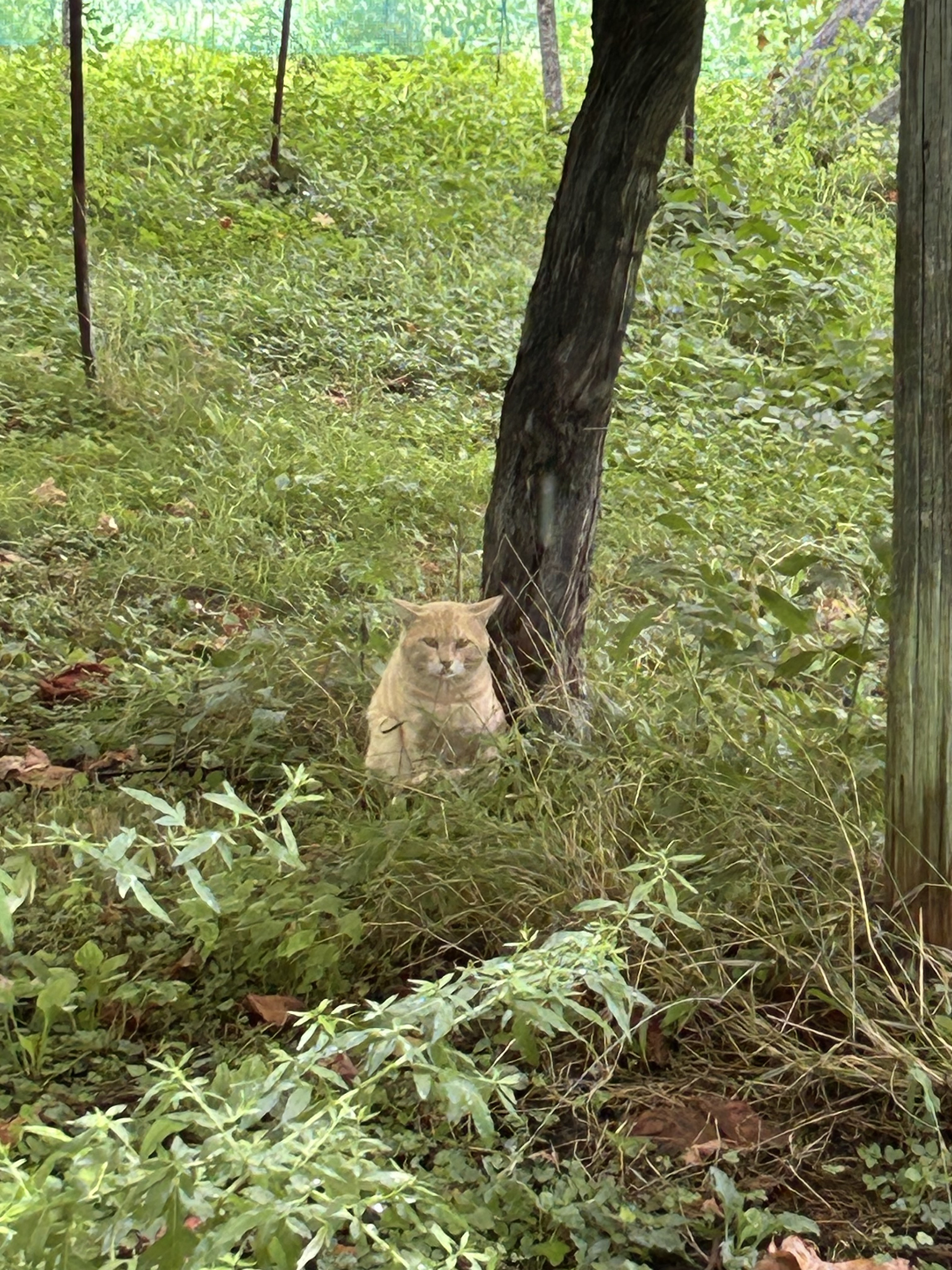 IMG_7765.jpeg