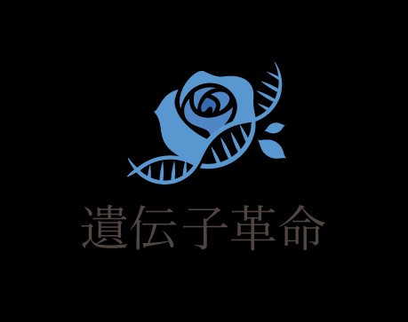 1684832014029.png
