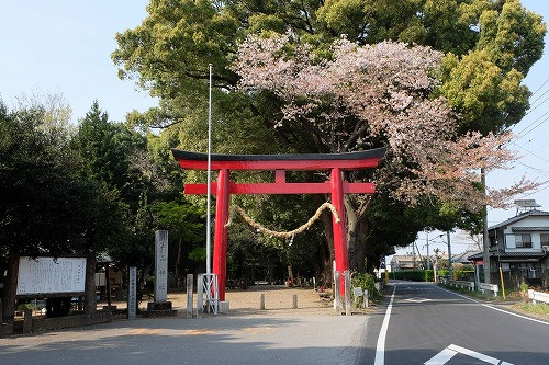 生品神社 骨董お宝市 出店詳細 6月第4土曜まで出店割引 毎月第2第4土曜日開催 30区画限定募集 ふりーまーけっとの会 Fleamarket Events 19