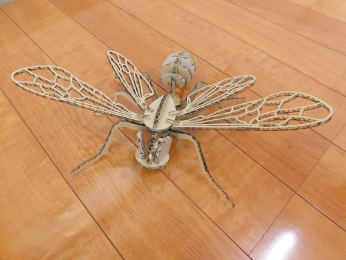 DSCN1096.JPG