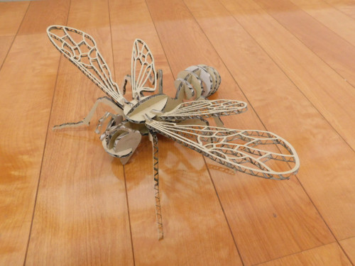 DSCN1097.JPG