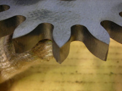 DSCN0092.JPG