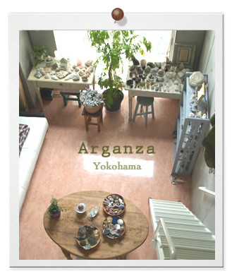 roomindexyo1.jpg