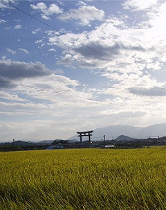 06.09-tanbo.JPG