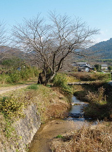 06.12sanpo-2.JPG