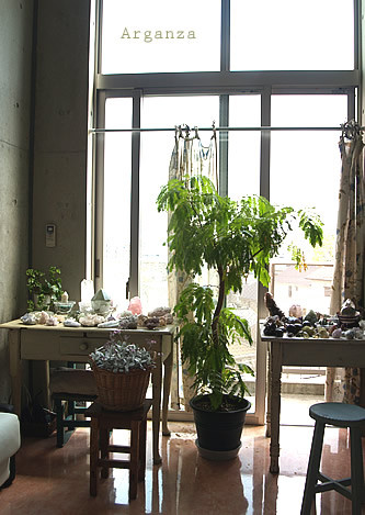 arganroom333_2.jpg