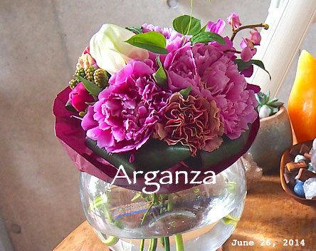 140626flower.jpg