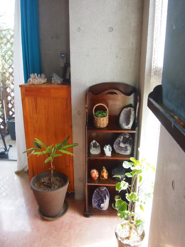 P1011800.JPG