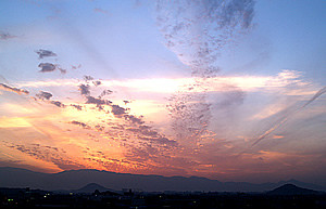 ls10_img3.jpg