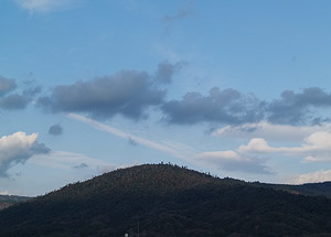 090105_miwa.jpg
