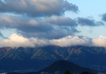 081129_ls12asa_sn.jpg