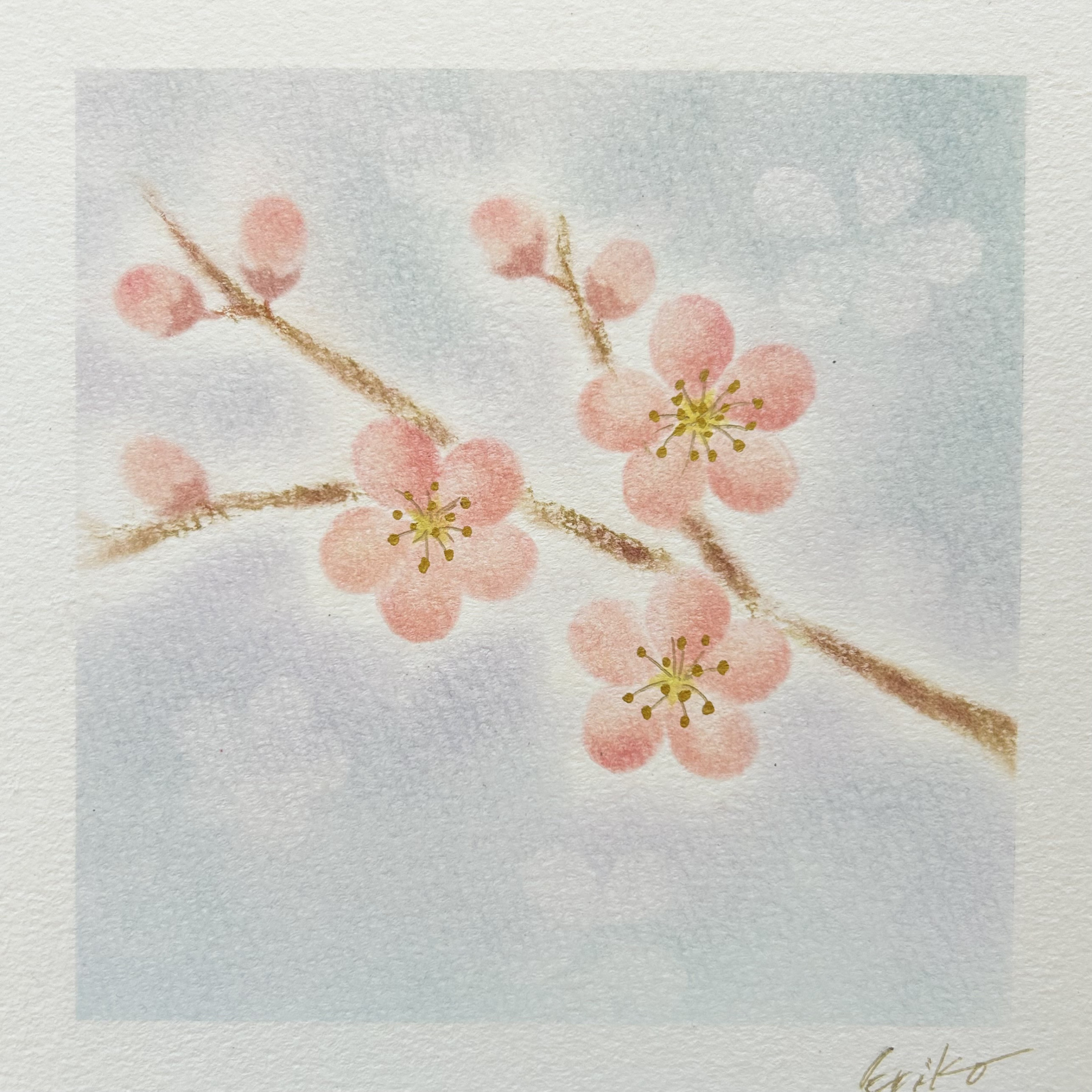 梅を描く　パステルアート