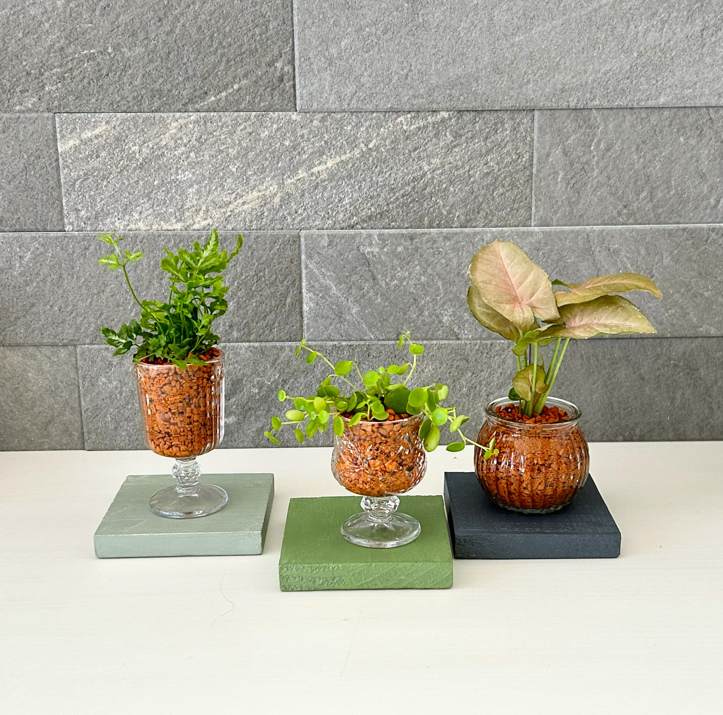 ガラスに植えるグリーン　サンプル作品