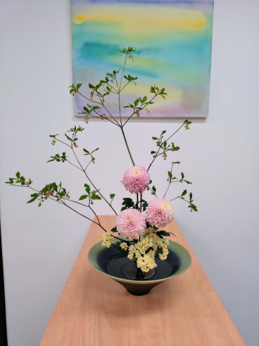 4月26日のお花