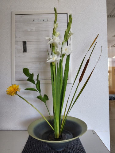 7月12日のお花
