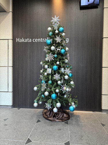ビルの入り口に毎年飾られるクリスマス🌲