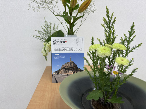 11月29日の🌸と11号原点