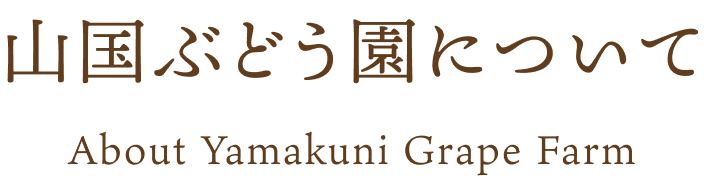 山国ぶどう園について About Yamakuni Grape Farm