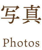 写真 Photos