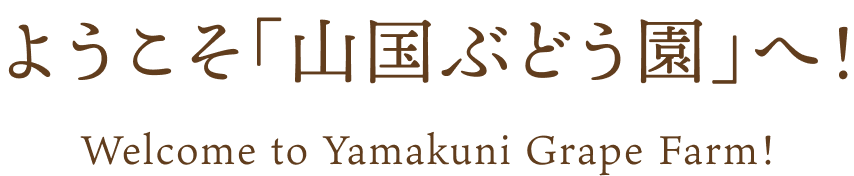 ようこそ「山国ぶどう園」へ！ 	Welcome to Yamakuni Grape Farm!