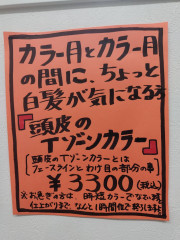 カラー月とカラーのちょっと気になる時に！　Tゾーンカラー！