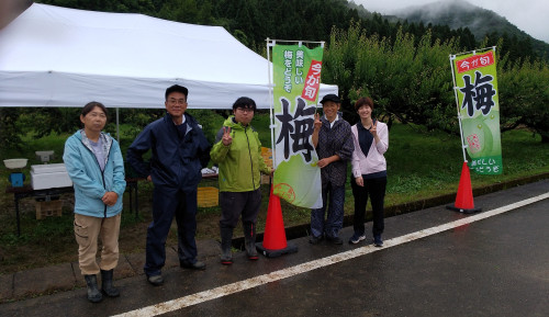 2025 梅もぎ体験イベント受付