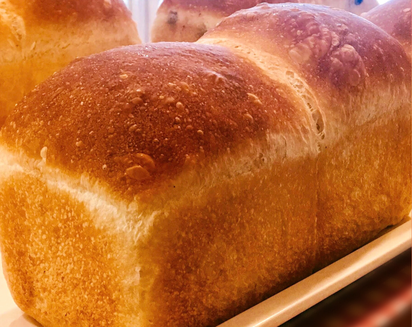 天然酵母のプレーン食パン