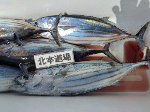 写真１.jpeg