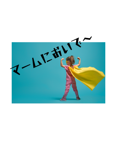 IMG_7353.png