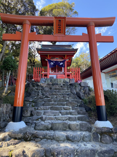 IMG_4907.jpeg