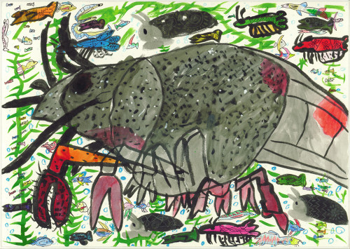 6 ぼくんちのザリガニ.jpg