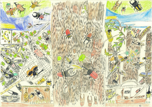 10 こんちゅうの森.jpg