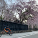 IMG_7413.jpeg
