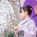 KOTO KOTO 
