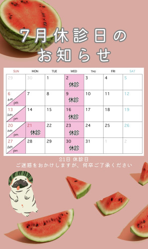 7月　休診日のお知らせ