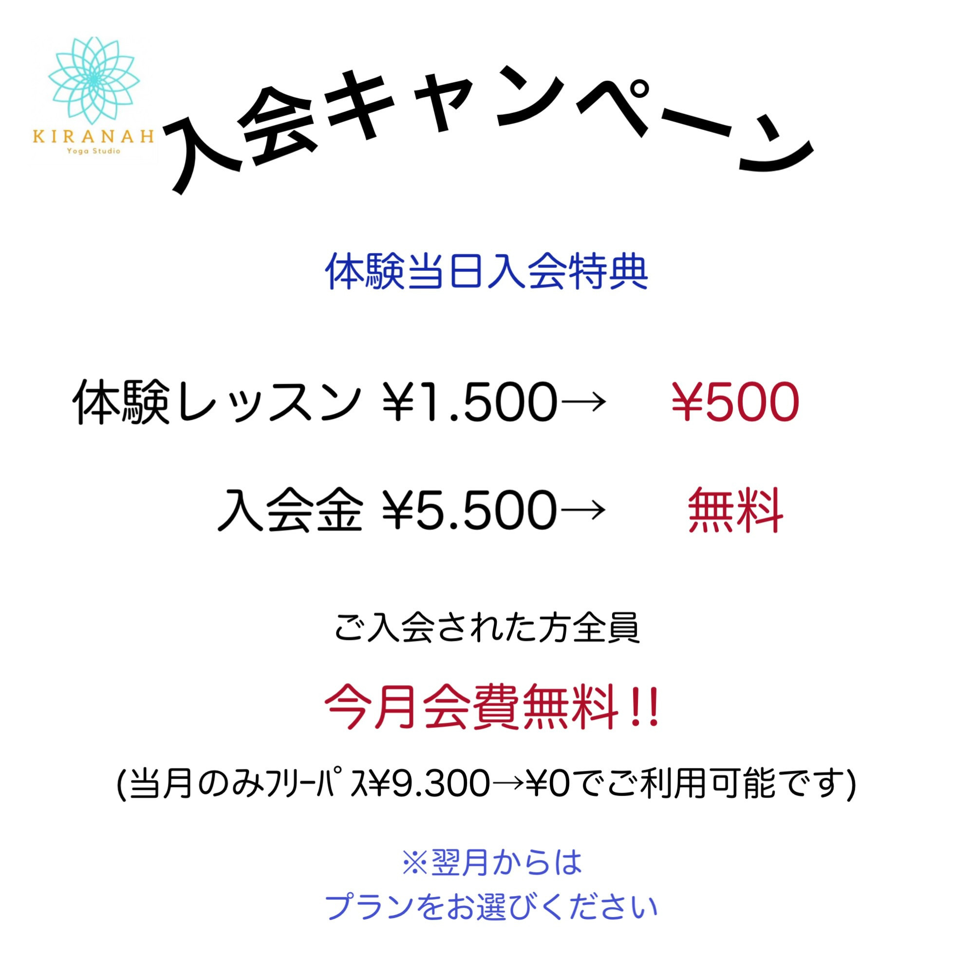 11月限定！お得なキャンペーン