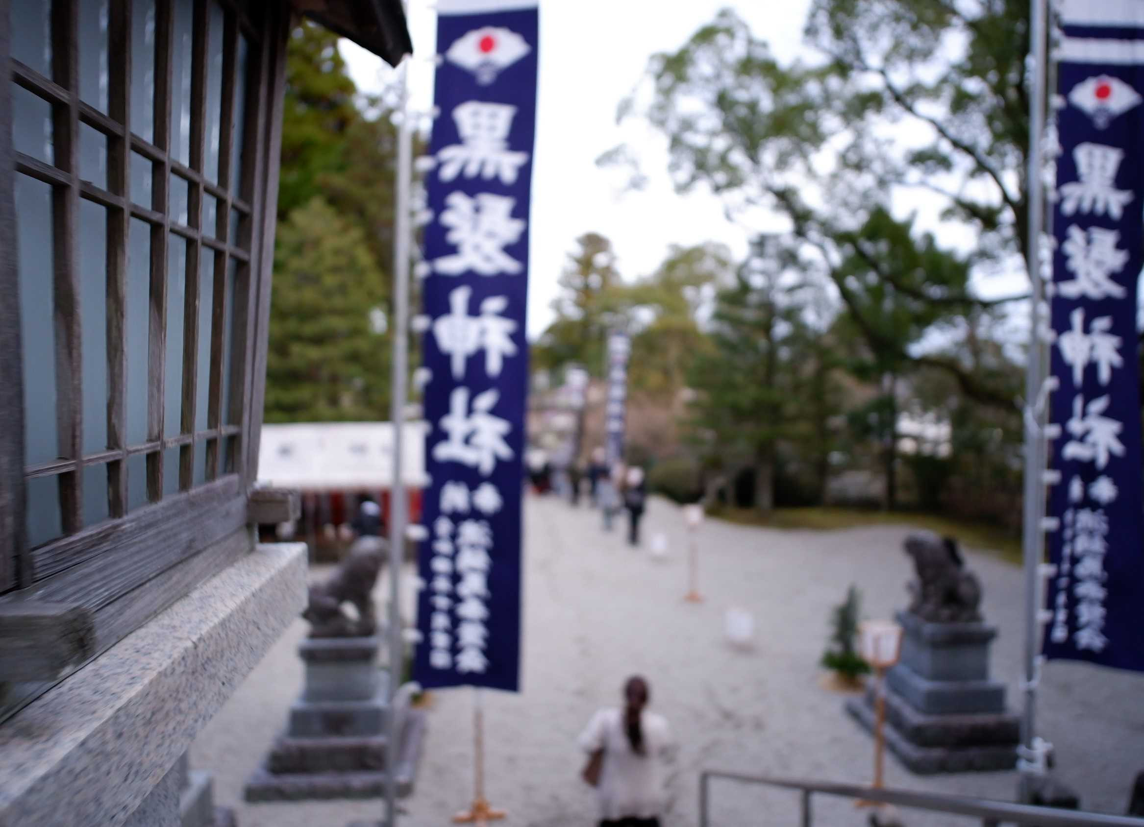 🏇新年明けましておめでとうございます🏇