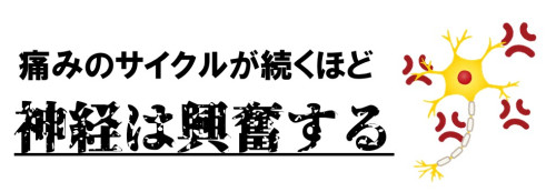 神経が興奮する.jpg