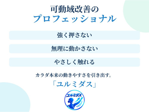HPユルミダス説明.jpg