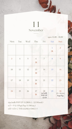 11月のスケジュール