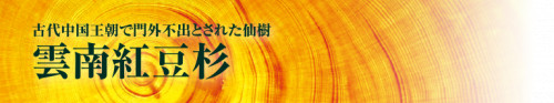 koutousugi_banner1.png