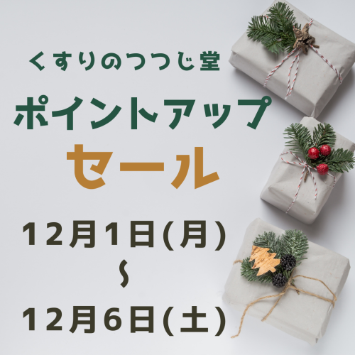 White And Green Modern Christmas Special Sale Instagram Post.png