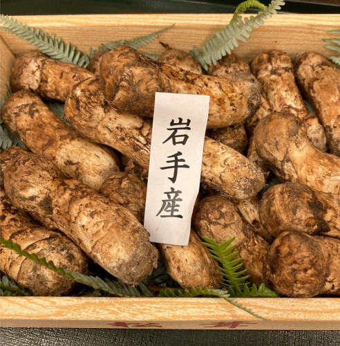 岩手県産　松茸