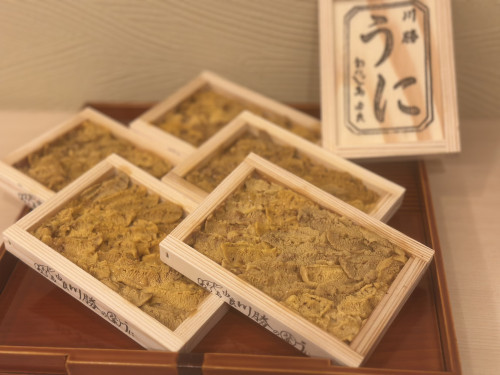 由良雲丹