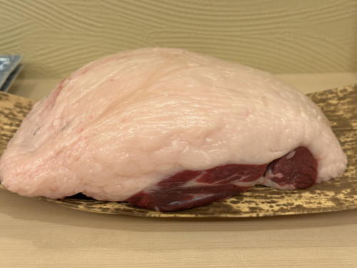 秋田のツキノワグマ