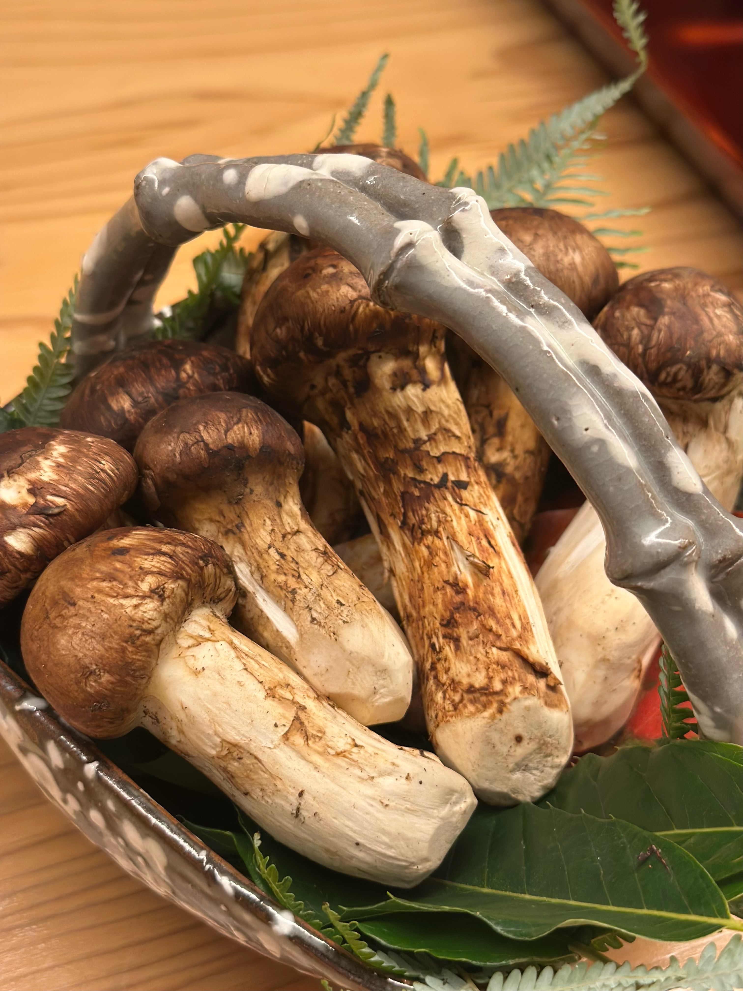 国産松茸