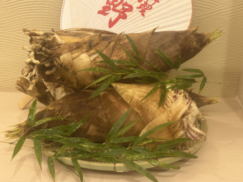 朝堀り白子京筍